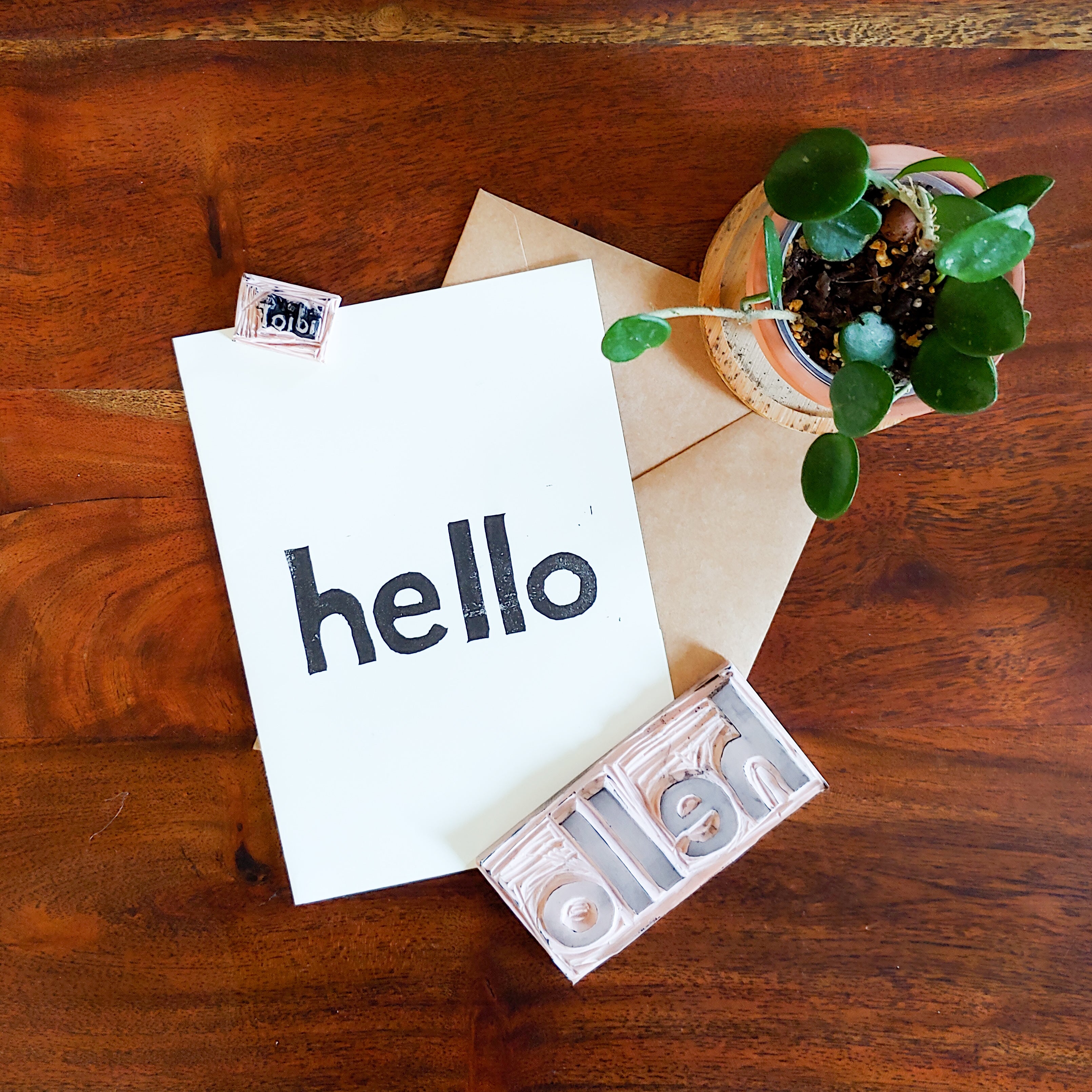 Hello Idiot - Rude Greeting Card
