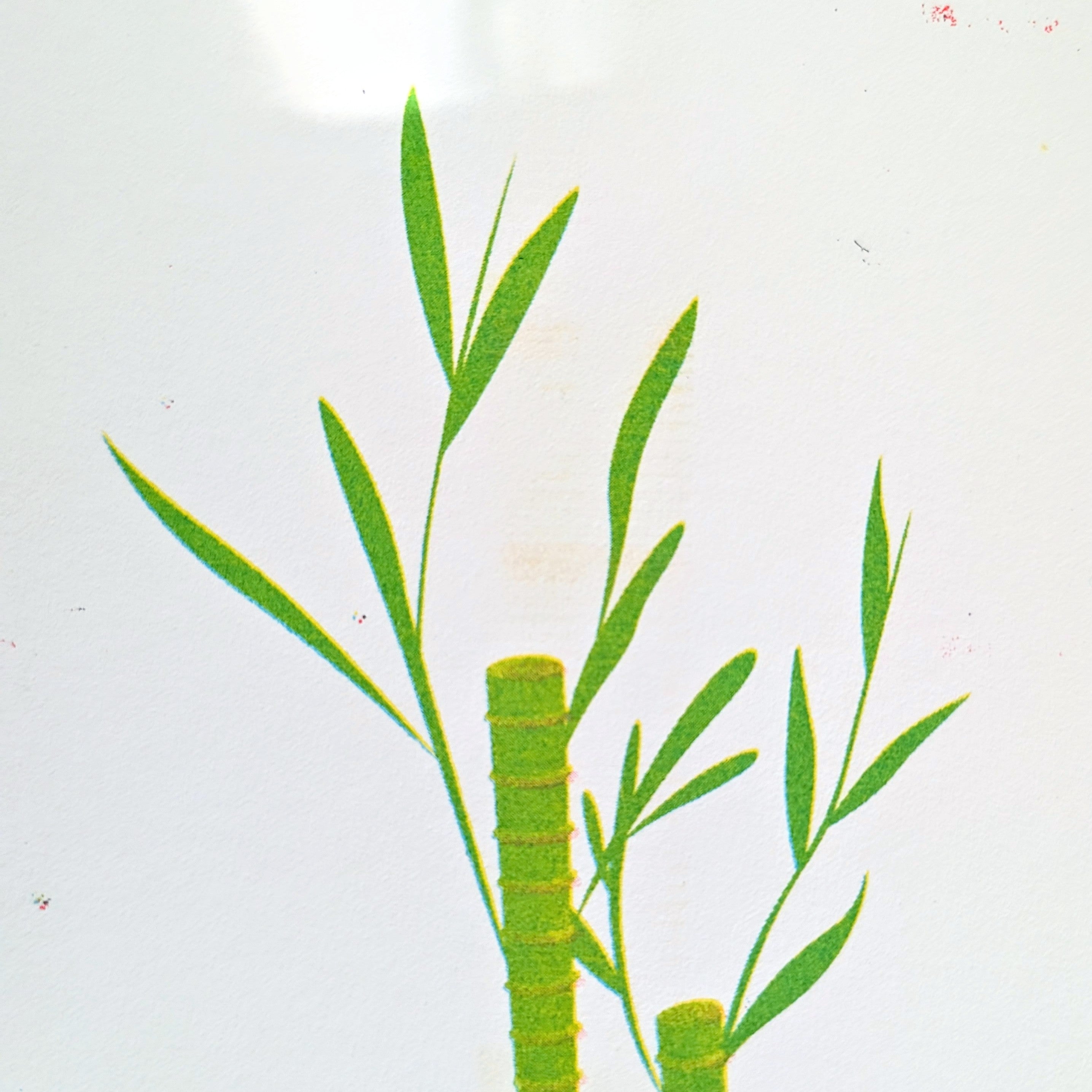 Lucky Bamboo Risograph Print image 3