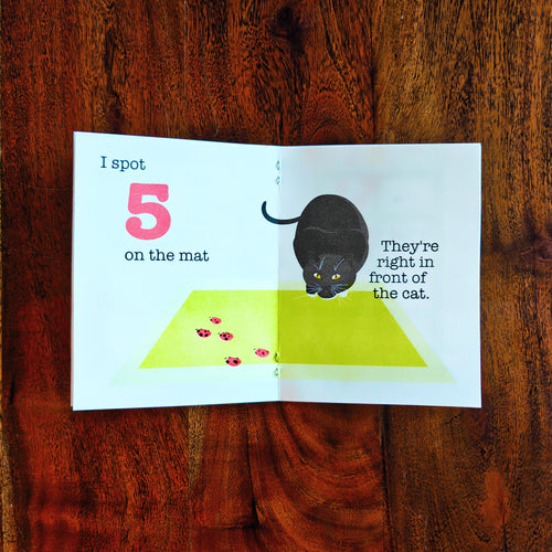 Asian Lady Beetle's 123s - A Counting Zine