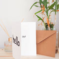 Hello Idiot - Rude Greeting Card